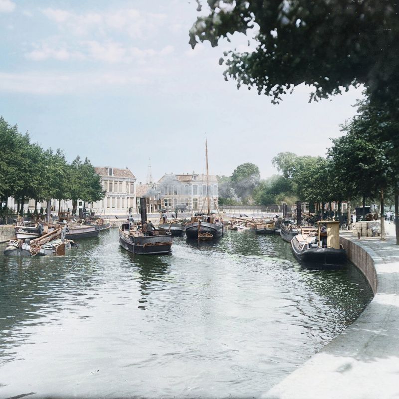 Friese Genealogische Contactdag 2021 